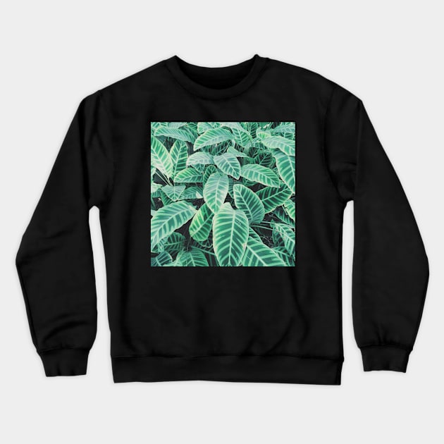 Pattern of Leaves Crewneck Sweatshirt by Cassia